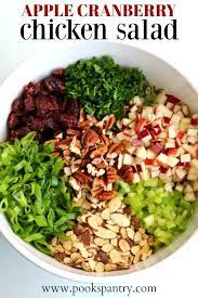 Apple Cranberry Chicken Salad Recipe Recipe Cranberry Chicken Salad Delicious Chicken Salad Cranberry Chicken