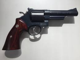 Image result for Tennessee Blue 1989 Colt