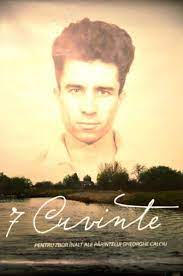 7 Cuvinte 7 Cuvinte 2014 Film Cinemagia Ro
