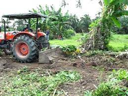 Don't just set out mowing weeds, chopping through underbrush and knocking down trees. Land Clearing For Farming Purpose Youtube