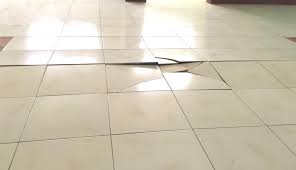 If you have shattered ceramic tiles then do not call the master and pay a lot of money he will tell you to raise the whole floor and. Tiletutorial 7 Reasons Your Floor Tiles Crack Tiletoria