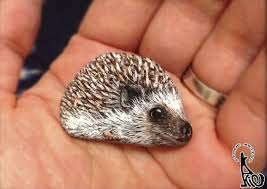 Stone Art Hedgehog Painted Rock Animals Rock Painting Designs Stone Painting