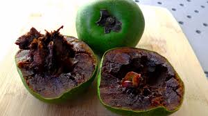 The ripe black sapote tastes like chocolate pudding, but the unripe is bitter and irritates the eater. How To Open And Eat Black Sapote Cocolate Pudding Fruit Youtube