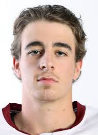 Player photos for the 2019-20 Tri-City Storm at hockeydb.com
