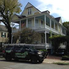 All of our pest control. Top 7 Best Pest Exterminators In Edisto Island Sc Angi