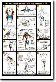 Weight Training Flexibility Fitness Chart F13 Flexibility