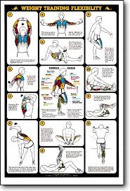 weight training flexibility fitness chart f13 flexibility