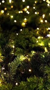 обои на рабочий стол с новым годом и рождеством Christmas Christmas Eve Was A Night Of Song That Wrapped Itself About Yo Rozhdestvenskie Oboi Rozhdestvenskie Kartinki Rozhdestvenskie Izobrazheniya