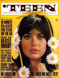 Teen Magazine Covers 1965-1969