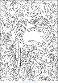 To print these colouring pages just click on any black and white image you see below. Free Jungle Coloring Page Free Coloring Daily