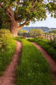 Herefordshire council is warning that difficult times lie ahead financially, but it herefordshire council plans to borrow more than £4m to pay for repairs to flood damaged roads, because it said it. Country Lane Leton Hereford Herefordshire Chronicles Of A Love Affair With Nature Scenery Country Roads Landscape