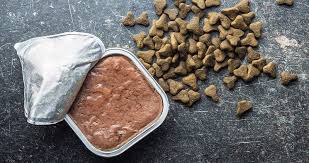 مقایسه غذای خشک و غذای مرطوب در انتخاب بهترین  غذای گربه بالغ عقیم شده