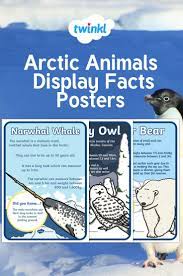 Arctic Animal Display Facts Posters Arctic Animals Arctic Habitat Arctic