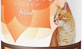Dry Cat Food Ratings 2018 All About Foto Cute Cat Mretmlle Com