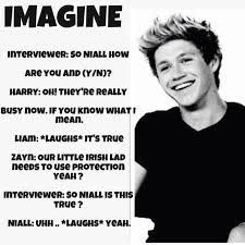 Pin By Yensi Naiℓyeu Csiawau On Iiaℓℓ ʝamyeѕ Nsyaai Niall Horan Imagines One Direction Quotes One Direction Humor