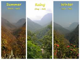 Although regions influence much of thailand's weather, the country has a tropical monsoonal climate with three distinct seasons: When Is The Best Time To Visit Chiang Mai