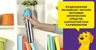 suprastin dlya sobak pokazaniya dozirovka analogi