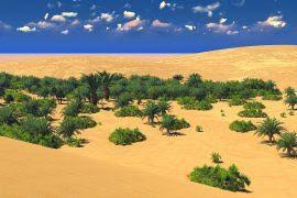 Image result for Coccinia adoensis