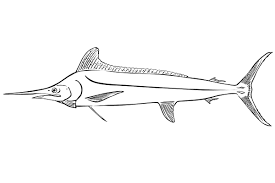 1080x1024 cartoon clipart of a black and white happy. Fish Coloring Pages 100 Pictures Free Printable
