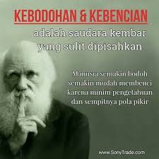 Kebodohan Kebencian Kata Kata Indah Motivasi Inspirasional