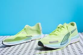Image result for Vitro 2002 Puma