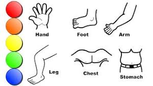 We have 18 images about preschool coloring pages body parts including images, pictures, photos, wallpapers, and more. How To Draw And Learn All Body Parts For Kids Coloring Pages For Children Youtube