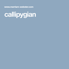 Callipygian Definitions Words Vocabulary