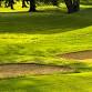 Techline | El Paso Electric Charity Golf event image