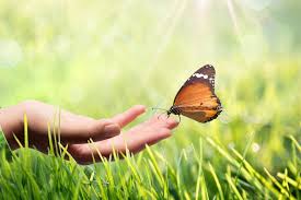 101 Most Inspiring Quotes Of All Time Volume 3 Personal Excellence 135 quotes have been tagged as butterfly: 101 most inspiring quotes of all time