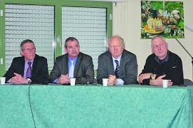 Entre valeur et perception de valeur, l'endive veut faire le buzz