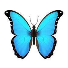 Pin By Kavyani On پروانه Blue Emoji Blue Butterfly Emoji