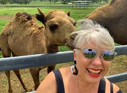Scenic Rim Farm Gate Road Trail