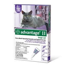 Bayer Advantage Ii Purple 6 Month Flea Control For Cats 9 L With Images Flea Control For Cats Cats And Kittens Cat Fleas