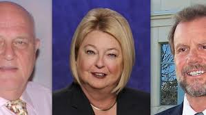 3 seek to lead Volusia government as county chair