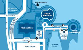 Check spelling or type a new query. Shedd Aquarium Parking Guide 2021 How To Save Money