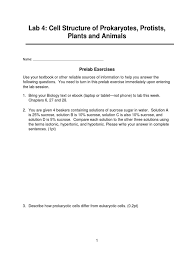 Check spelling or type a new query. Lab 4 Cell Structure Of Prokaryotes Protists Plants And Animals 1 Cell Biology Bacteria