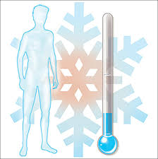 Image result for Temperature Regulation