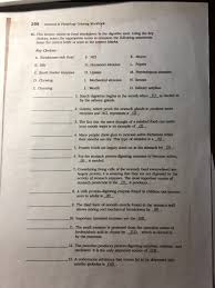 Digestive system coloring page many interesting cliparts. 290 Anatomy Physiology Coloring Workbook 16 This Chegg Com