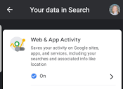 My web and app activity is on, but I can't see my search history ...