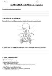 Leçon & exercices à imprimer. Evaluation La Respiration Cm1 Cycle 3 Bilan Et Controle Corrige