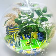 Futbol Takim Teraryum Fenerbahce Fb Teraryum Gift For Football Fans Erkeklere Ozel Hediye Teraryum Men Gift Teraryum Terar Hediyeler Cicek Teraryum
