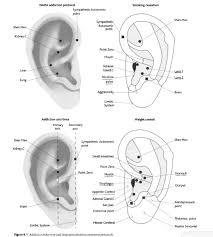 Pin On Chinese Medicine Quotes