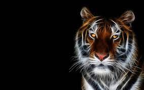 3d Tiger Animals Tiger Art Animal Wallpaper