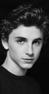 Timothee Chalamet Actor Interstellar Timothee Chalamet Is An Actor Known For Interstellar 2014 Call Me By Your Timothee Chalamet Portrait Beautiful Boys