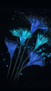 Real Black And Blue Flowers Aesthetic Black And Blue Wallpaper Home Screen In 2020 Blue Wallpaper Iphone Black And Blue Wallpaper Blue Flower Wallpaper