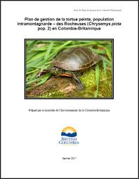 Nous prenons grand soin dans la sélection de chaque pièce en bois assurant chaque table a un grand caractère et la. Tortue Peinte De L Ouest Chrysemys Picta Bellii Plan De Gestion Propose Partie 2 Canada Ca