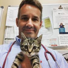 happiness #gratitude #inspiration #positiveleadership #veterinarymedicine… 