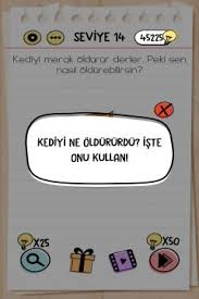 Brain Test Seviye 14 Cevaplari Kediyi Merak Oldurur Derler Peki Sen Nasil Oldurebilirsin