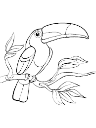 Select from 35970 printable coloring pages of cartoons, animals, nature, bible and many more. Baby Toucan Coloring Page