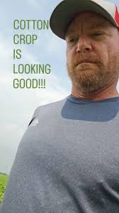 #cotton #crop2024 #farmer #farminstagram